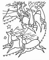 Santa Coloring Pages Christmas Sleigh Reindeer Kids Pulling Honkingdonkey Sled Children Drawings These Library Clipart Pull Santas Popular sketch template