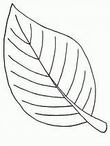 Coloring Palm Branch Pages Popular Leaf sketch template