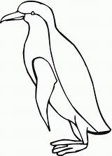 Pingwin Penguin Pingwiny Kolorowanki Kolorowanka Dzieci Druku Wydruku Jak Malowanki Ptaki Pingwinek Wydrukowania Głowy Xcolorings Pokolorujmy sketch template