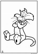 Sylvester Coloring Pages Cat Tweety Clipart Print Bird Library Search Again Bar Case Looking Don Use Find Popular sketch template