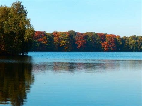 body  water surrounded  trees  fall colors   trees