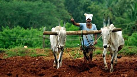 advanced farming enriched farmers scheme  maharashtra govinfome