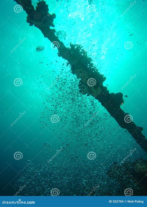 bubbles rising stock photo image  colonise coral wreck