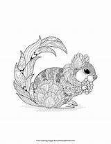 Squirrel Zentangle Waldtiere Malvorlagen Ebook Primarygames Kostenlose Ausmalvorlagen Ausmalen Erwachsene Malvorlage Druckbares Erwachsenen Colouring sketch template