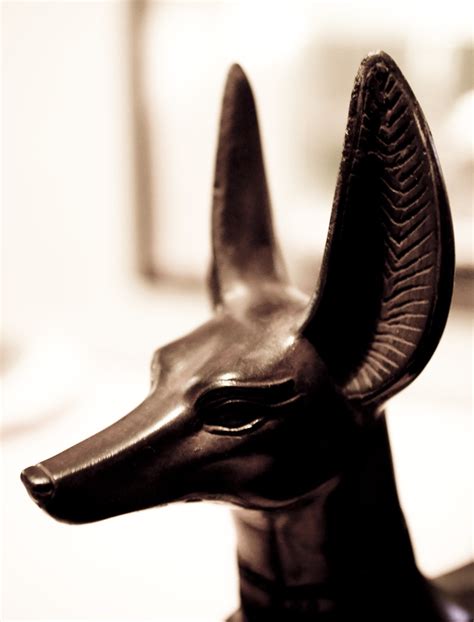 Anubis Of All The Ancient Egyptian Gods Anubis Is