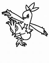 Combusken Pokemon Colorir Grovyle Tudodesenhos Thousand Frogadier Noivern sketch template