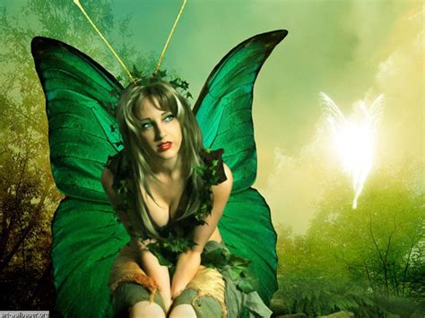 fairy art fairy wallpapers art prints pictures