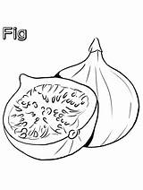 Fruit Coloriage Figs sketch template