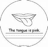 Tongue Taming Pink Coloring Pages Enchantedlearning Color Book Template Colors Readers Early sketch template