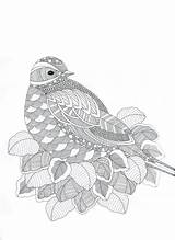 Coloring Pages Zentangle Adult Bird Adults Coloriage Voor Volwassenen Mandala Detailed Abstract Kleuren Animaux Printable Animal Colouring Advanced Books Paisley sketch template