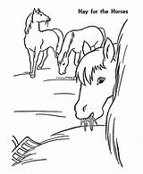 Horses Pferd Seite Coloringhome sketch template