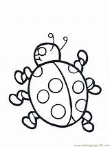 Ladybugs sketch template