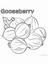 Gooseberry Gaddynippercrayons Colouring sketch template