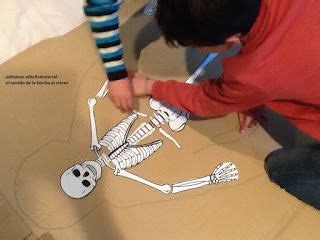 skelett bauen skelett unterricht ideen grundschule