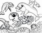 Turtle Baby Coloring Pages Cute Getcolorings Color sketch template