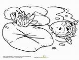 Water Monet Lily Pond Coloring Bing Sheets Lilies Worksheets Pages Color Preschool Printable Kids Books sketch template