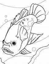 Kolorowanki Ryby Ikan Mewarnai Akuarium Rybki Perch Salmon Designlooter Fishes Catfish 1275 92kb 1650px Coloringbay Oscars Ide Rybami Gambarmewarnai sketch template