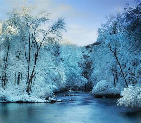 winter wonderland photograph  thomas schoeller