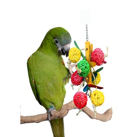 colorful bird toy  small  medium parrots   bird pet toys  bird toys  home