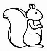 Squirrel Coloring Pages Cute Outline Template Pattern Drawing Chipmunk Printable Kids Clipart Draw Simple Templates Clip Print Color Scaredy Marshmallow sketch template