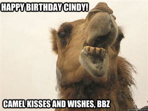 Hump Day Birthday Camel Quickmeme