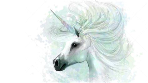 white horn unicorn  white background hd unicorn wallpapers hd wallpapers id