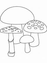 Pilze Besteausmalbilder Herbst Malvorlagen Sieht sketch template
