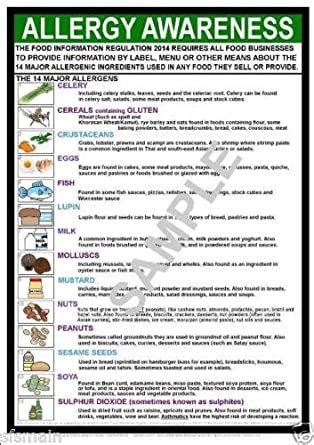food allergy awareness  laminated poster amazoncouk business