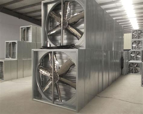 cooling system china qingzhou hanyang greenhouse project