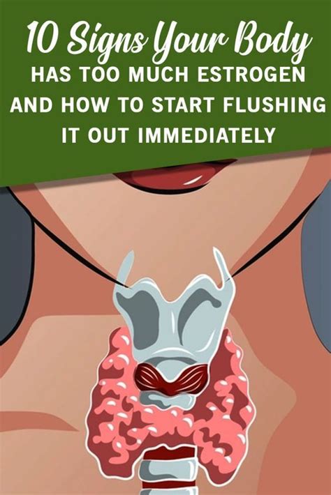 10 signs your body has too much estrogen and how to start flushing it