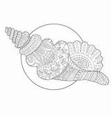 Seashell Vector Mandala Coloring Book Vectors Serene Seamless Drawn Outline Pattern Hand sketch template