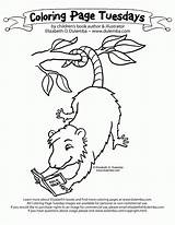 Possum Colouring Censored Library Folktale Possums sketch template