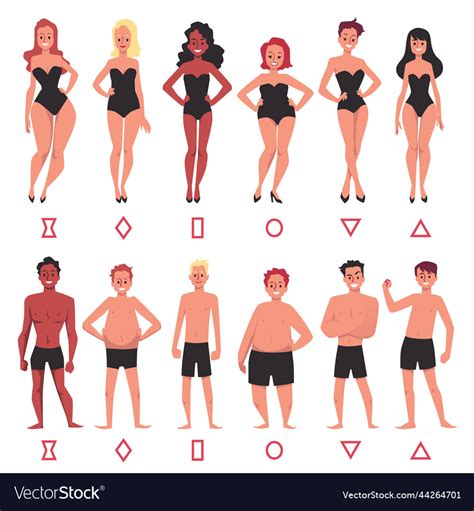 human body types  female  male set flat vector image