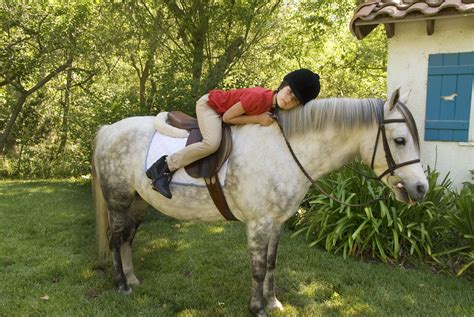 popular horse  pony breeds  children