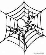 Spider Coloring Pages Halloween Printable Kids sketch template