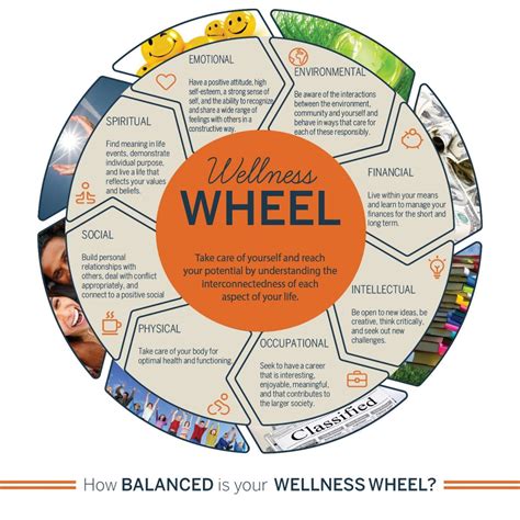 Wellness Wellness Wheel Self Care Wheel Health And