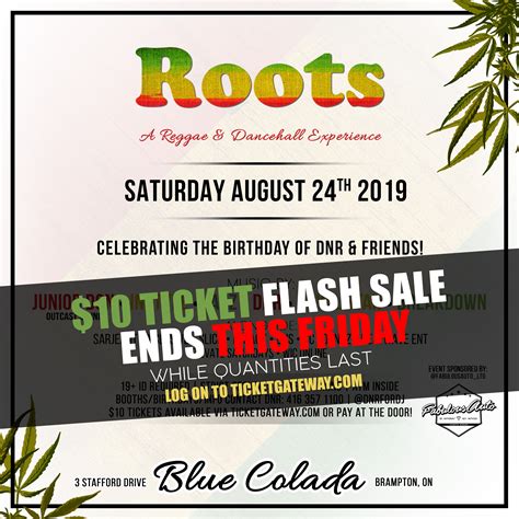roots a reggae and dancehall experience brampton 2019