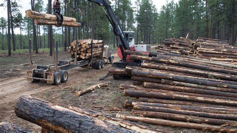 az talk  environmentalists fight logging plans