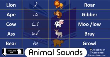 list  animals sounds vocabulary  english vocabineer