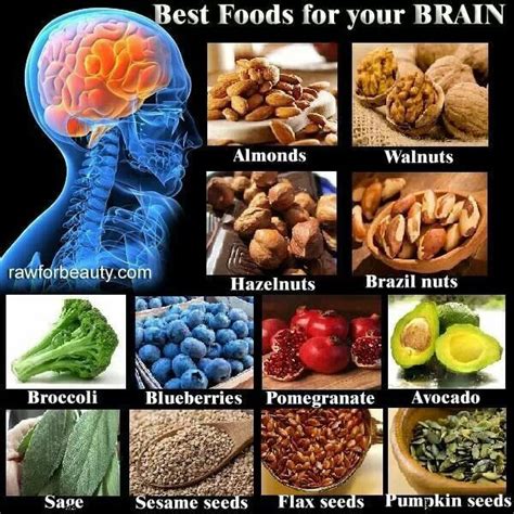 Brain Food Brain Food Healthy Brain Healthy