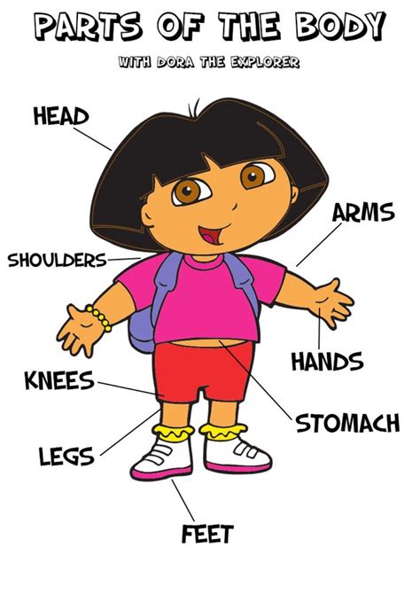 parts   body dora  explorer interactive worksheet dora  explorer dora worksheets