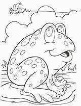 Coloring Frog Toad Pages Library Clipart sketch template