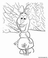 Olaf Coloring Disney Pages Printable sketch template