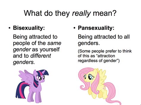 The Difference Between Bisexuality And