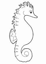 Caballito Seahorse Zeepaardje Kleurplaat Marino Cavalluccio Seepferdchen Malvorlage Caballitos Hippocampe Imprimir Coloriage Kleurplaten Ausmalbilder Ausmalbild Seepferd Stampare sketch template