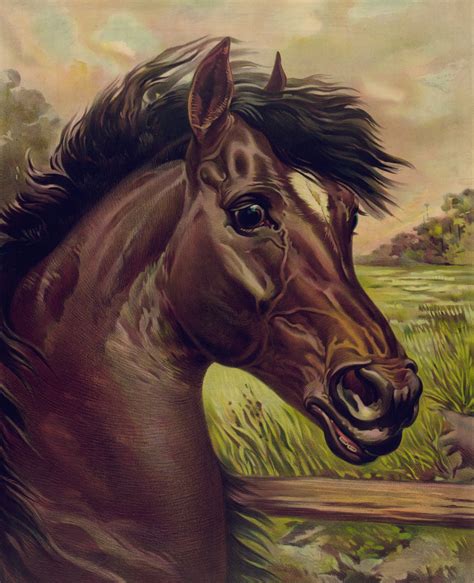 vintage horse painting  stock photo public domain pictures