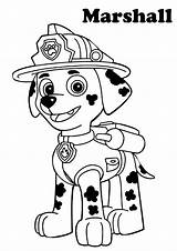Patrol Paw Coloring Pages Printable Kids Marshall Print Color Cartoon sketch template