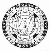 Mandala Coloriage Chaton Adulte Animaux sketch template