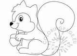 Squirrel Acorn sketch template