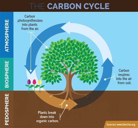 building carbon  soil trace  save